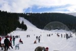 Мальовица