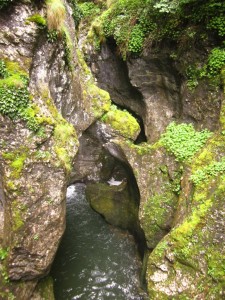 IMG_7496